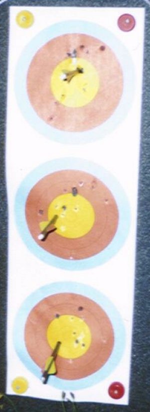 Trefferbild Jagdarmbrust Exkalibur Exomax auf 100m
